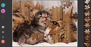 Cat's Life Jigsaw Puzzles