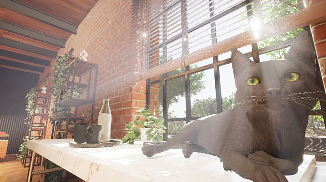 Cat's Meow Live Wallpaper