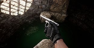 Backrooms Interception