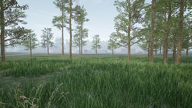 Under the apocalypse