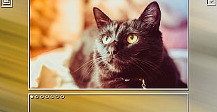 Super Jigsaw Puzzle: Generations - Cats Puzzles