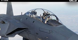 DCS: F-15E
