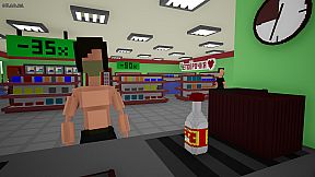 The Cassir Simulator