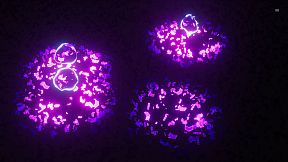 Music Visualizer Engine PC Live Wallpaper