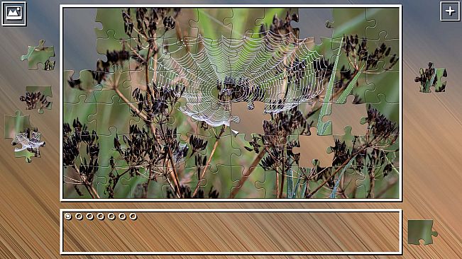 Super Jigsaw Puzzle: Generations - Random Puzzles 3