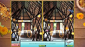 I Love Finding Critters Collector's Edition