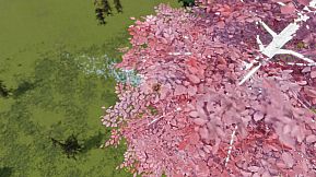 The Ball Flow - Nature and Light