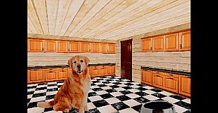 TAKE CARE OF THE DOG