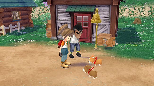 Story of Seasons : A Wonderful life