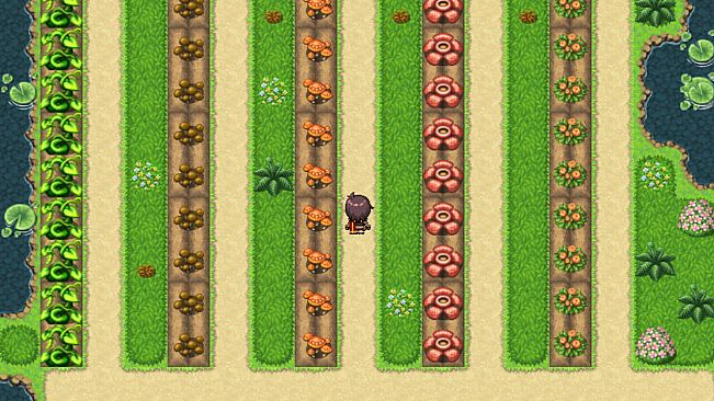 Become an Adventurer