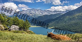 Good puzzle: Animals - Wallpapers