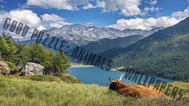 Good puzzle: Animals - Wallpapers