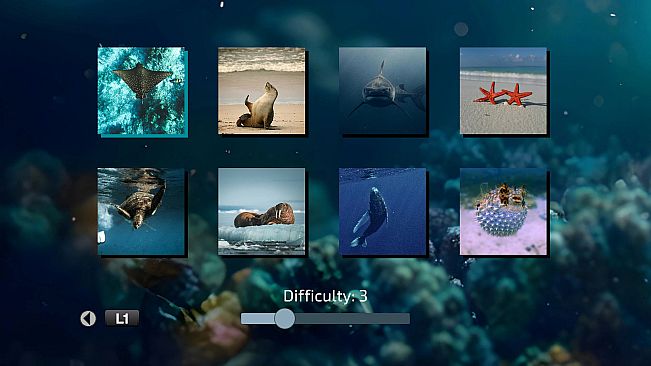 Shattered Frames 2: Under the Sea