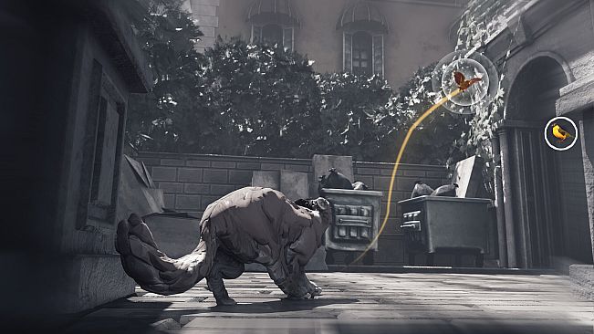 The Cat: Tales of Istanbul