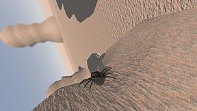 Spider Macro Survivors