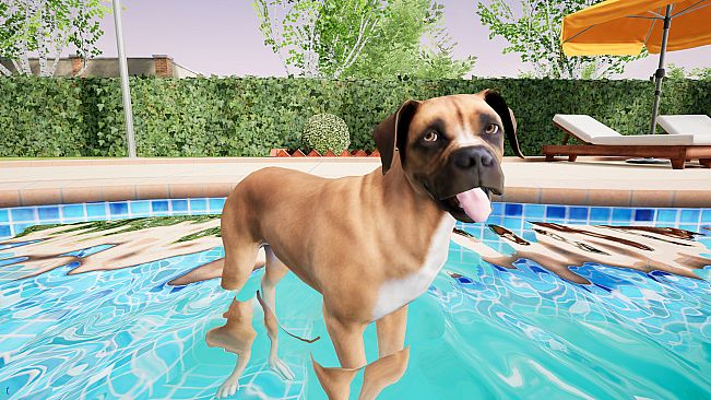 AI Roommate: Paws at Home