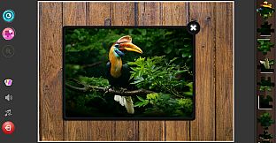 Nature & Wildlife - Jigsaw Puzzle - Expansion Pack 2