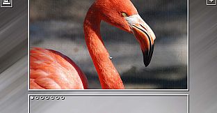 Super Jigsaw Puzzle: Generations - Random Animals Puzzles