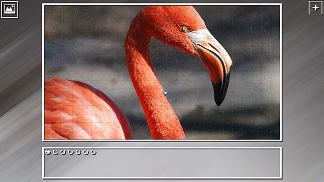 Super Jigsaw Puzzle: Generations - Random Animals Puzzles