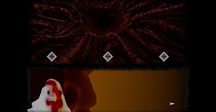 what did the chicken see