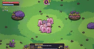 REBROOD
