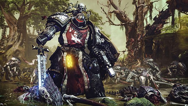 Warhammer 40,000: Space Marine 2 - Black Templars Champion Pack