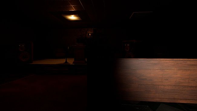 Nyctophobia: Fear the Dark