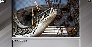 Super Jigsaw Puzzle: Generations - Snakes Puzzles