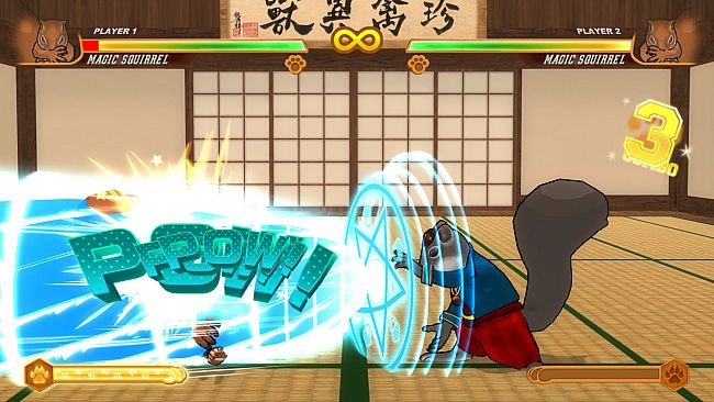 Fight Of Animals - The Sorcerer Costume/Magic Squirrel