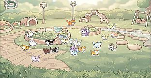 Cats MiaoMiaoMiao~