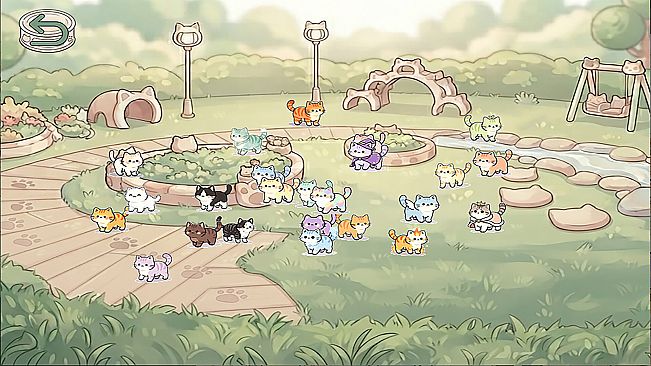 Cats MiaoMiaoMiao~