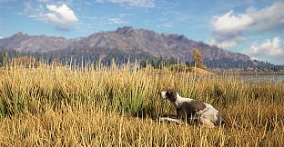 theHunter: Call of the Wild - German Shorthaired Pointer