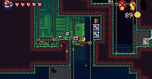 Ammo Pigs: Cocked and Loaded