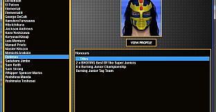 Total Extreme Wrestling 2013