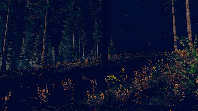 Save from Bobr Curve