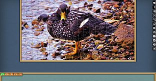 Jigsaw Puzzle Pack - Pixel Puzzles Ultimate: PP2 Birds