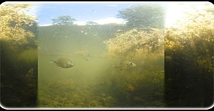 Exhale XR - Underwater Vibes