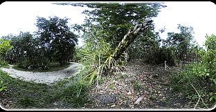 Exhale XR - Critter Watch