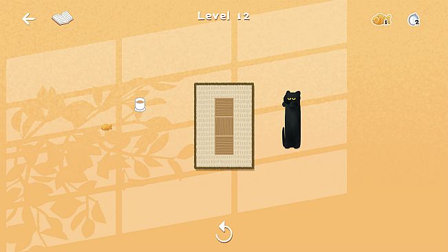 CATS BLOCKS: HOT SPRINGS