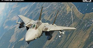 DCS: F-14A/B Tomcat by Heatblur Simulations