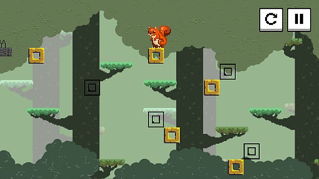 Squirrel Jump - Forest Pathway