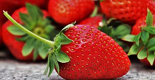 Pleasure Puzzle:Workshop - Part 4