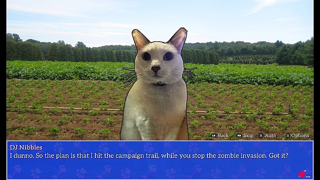 Cat President: A More Purrfect Union