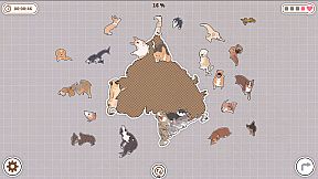 Dogs Huddled Together 挤在一起的狗狗们