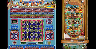 Bingo Pinball Gameroom - Bally Palm Beach