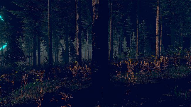 Save from Bobr Curve