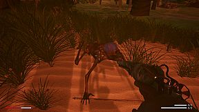 Team Disorder Special Edition