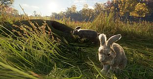 theHunter: Call of the Wild - Free Species: European Rabbit