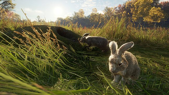 theHunter: Call of the Wild - Free Species: European Rabbit