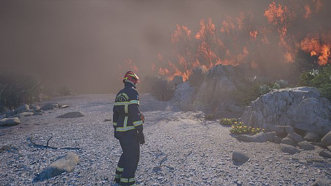 Rescue Ops: Wildfire